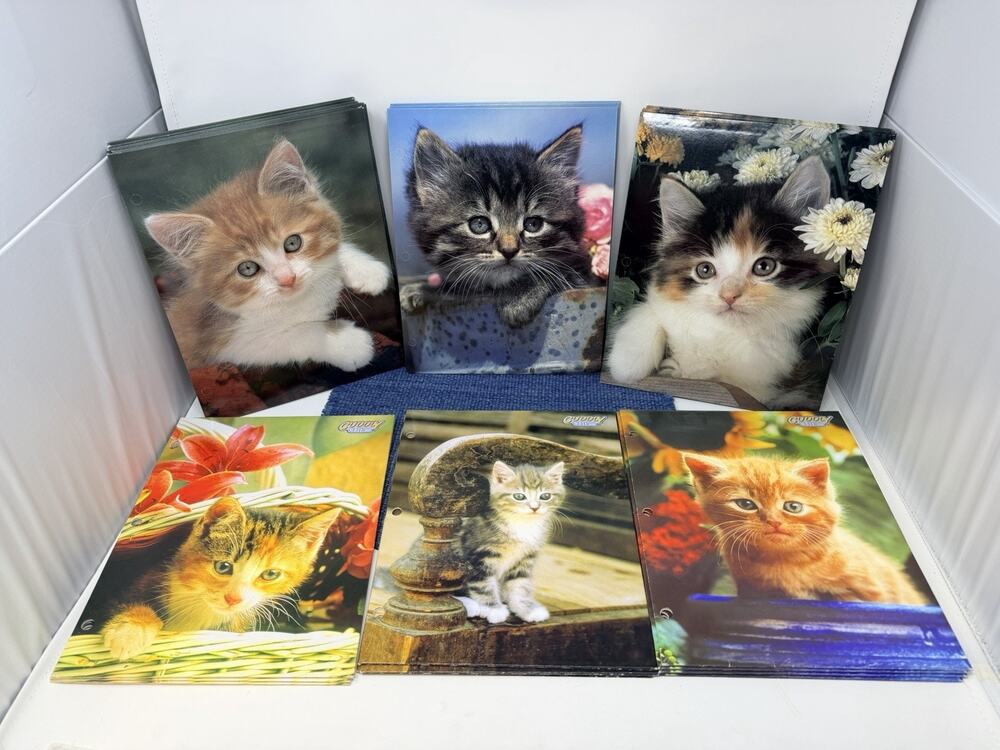 Vintage Mead Trapper Keeper Portfolio Folder Orange Tabby Kittens LARGE LOT
